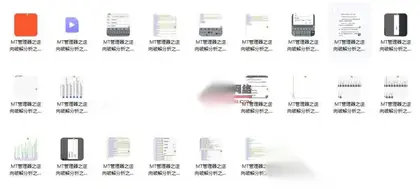 【MT管理器之逆向破解分析之路】视频教程