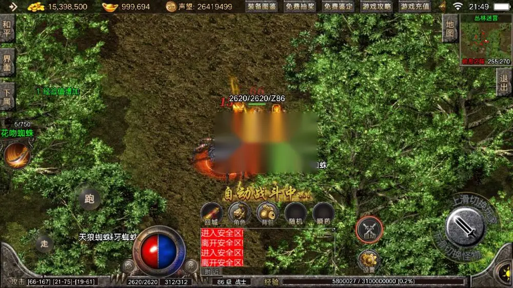 图片[11]