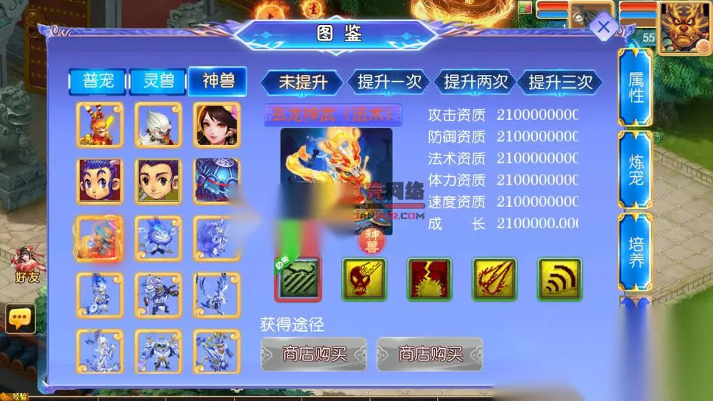 图片[11]