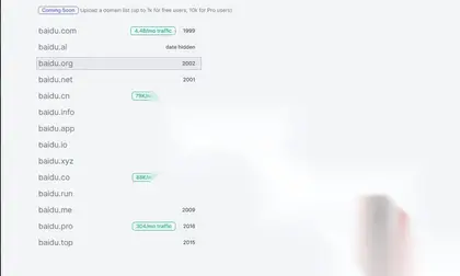 免费批量域名可用性检查和 WHOIS 查询工具